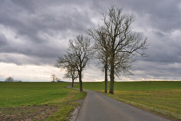 Fototapeta na wymiar Landstrasse mit herbstlichen Bäumen bewölkter Himmel