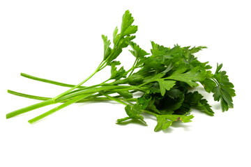 Sprigs of fresh green parsley lie isolated on a white background