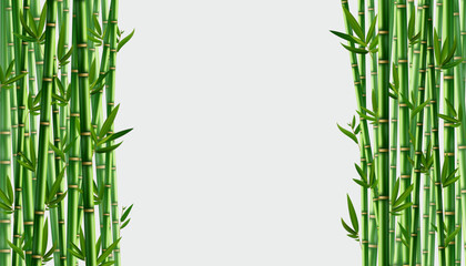 Bamboo background. Realistic banner with place for text. Green trees with leaves. Flower borders, Japan, China. Natural decoration print template, vector tropical forest in Asia.