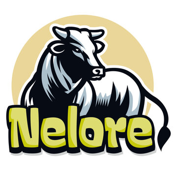 Nelore ox on yellow background