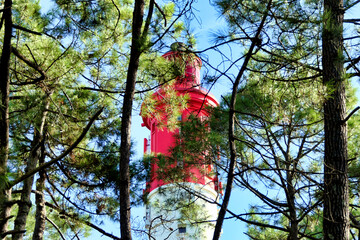 A glimpse of Cap Ferret Lighthouse, 57 metres high, poking through the maritime pines on a...