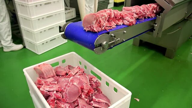 Pork Chops on Pork Cutting Machine Conveyor Belt at Meat Packing House. Raw Meat Cuts in Meat Processing Factory. Meat Industry.
