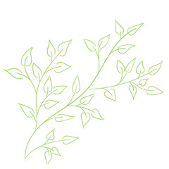 A tree branch, a simple drawing, hand drawing. Vector illustration