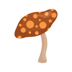 vector mushroom plant