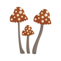 vector mushroom plant