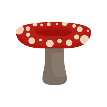 vector mushroom plant