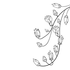 A simple drawing of a magnolia branch. Freehand drawing of a branch. Vector illustration
