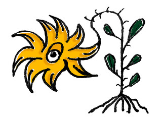 Fantasy sketchy style isolated funny flower