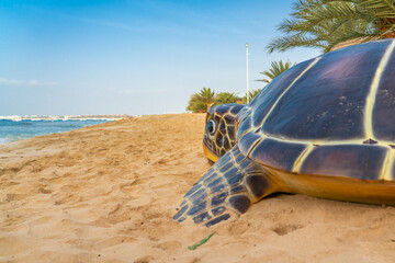 Turtle sculpture at the sandy beach of Santa Maria on Cape Verde Island Sal