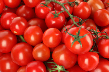 Many fresh ripe cherry tomatoes as background, top view