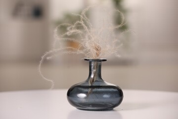 Vase with dried plant on white table in room