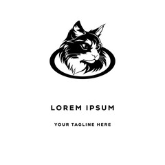 black and white head cat 