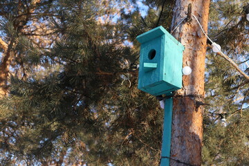 birdhouse on a tree