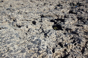 Fuerteventura is one of the Canary Islands, in the Atlantic Ocean, part of the North Africa region, and politically part of Spain.