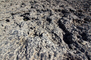 Fuerteventura is one of the Canary Islands, in the Atlantic Ocean, part of the North Africa region, and politically part of Spain.