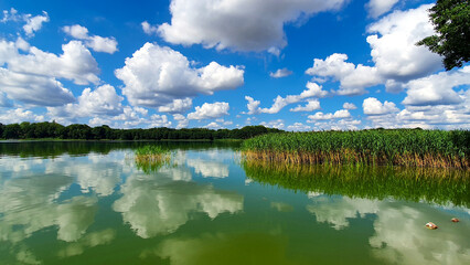 Beautiful landscape and water color in Lake Tuchomskie, Poland