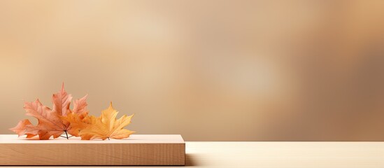 Fall themed product podium with leaves on a beige background