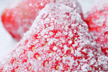 Strawberry covered with hoarfrost, macro view. Frozen berry