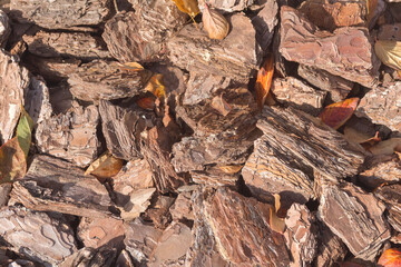 Decorative wood bark for flower beds, garden beds