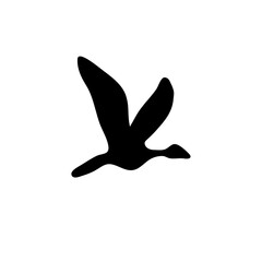 Flying Birds Silhouette 