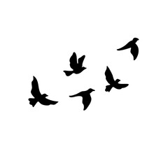 Flying Birds Silhouette 