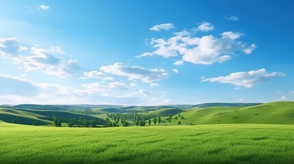 Fototapeta premium Natural Scenic Panorama Green Field with Blue Sky 