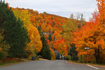 North america fall landscape eastern township Bromont-Shefford Quebec province Canada