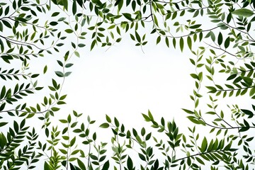 Nature background, abstract white frame in the leaves with copy space 