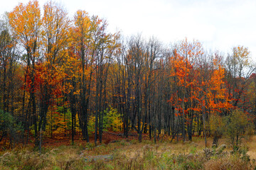 Fototapeta premium North america fall landscape eastern township Bromont-Shefford Quebec province Canada