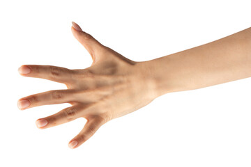 Woman hand isolated on a white background.