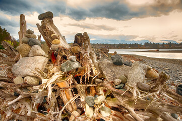 Stormy weather and amazing wood sculpture in Rathtrevor Provincial Park. Location: Parksville in...
