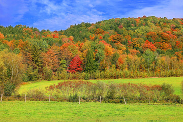 North america fall landscape eastern township Bromont-Shefford Quebec province Canada