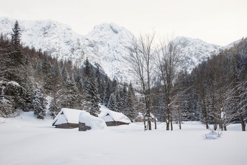 Fototapeta na wymiar Snow Picturesque Scene in Winter