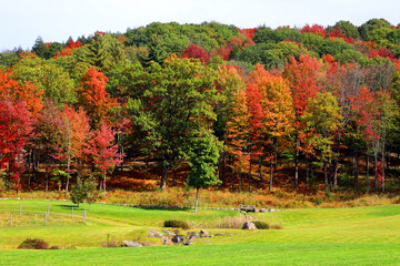 North america fall landscape eastern township Bromont-Shefford Quebec province Canada