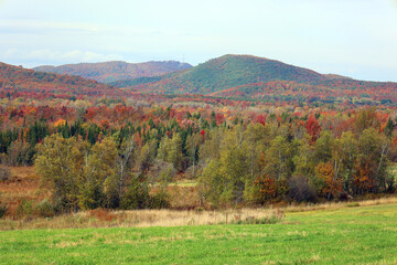 North america fall landscape eastern township Bromont-Shefford Quebec province Canada