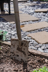 A close-up view of a dirty garden spade embedded in freshly turned soil, next to potted purple flowers and lush green plants.