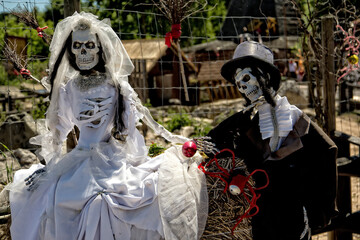 Just married - two skeleton in the wedding clothes

