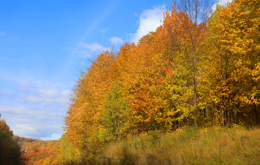 Fototapeta premium North america fall landscape eastern township Bromont-Shefford Quebec province Canada