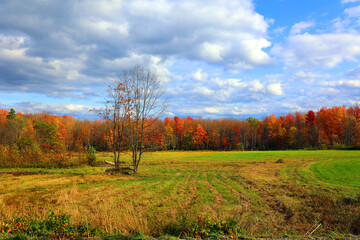 Fototapeta premium North america fall landscape eastern township Bromont-Shefford Quebec province Canada