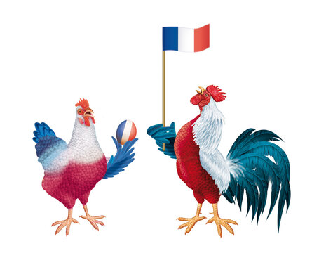 coq, poulet, oiseau, ferme, animal, poule, couleur de France, bleu, blanc, rouge, isolé, drapeau, volaille, coquelet, dessin animé, vecteur, rouge, oiseau, blanc, illustration, animal, empennage, natu