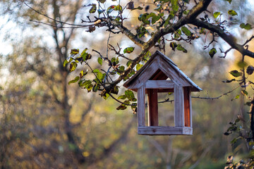 birdhouse on tree