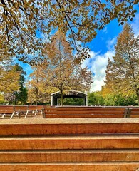 Colourful autumn in the park