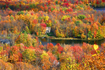 Obraz premium North america fall landscape eastern township Bromont-Shefford Quebec province Canada