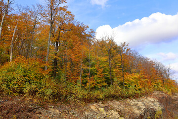 North america fall landscape eastern township Bromont-Shefford Quebec province Canada