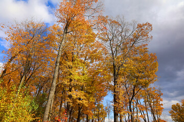 North america fall landscape eastern township Bromont-Shefford Quebec province Canada