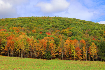 Fototapeta premium North america fall landscape eastern township Bromont-Shefford Quebec province Canada
