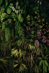 Herb wall, plant wall, natural green wallpaper and background. nature wall. Nature background of...