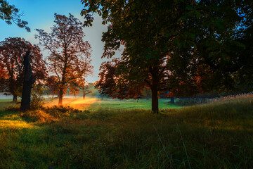 Beautiful autumn landscape at sunrise. Clearing fog. Pagansko Czech Republic Europe