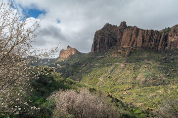 Fototapeta na wymiar Mountains of Ayacata. Top of Gran Canaria. Canary Islands 