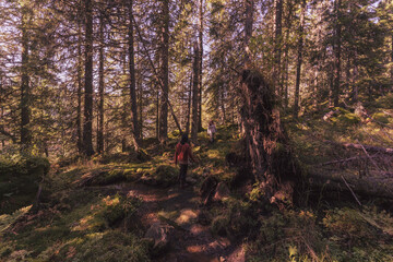 Image from a Sunday hike between Torsetra and Borgen of the Totenaasen Hills, Norway, in fall.